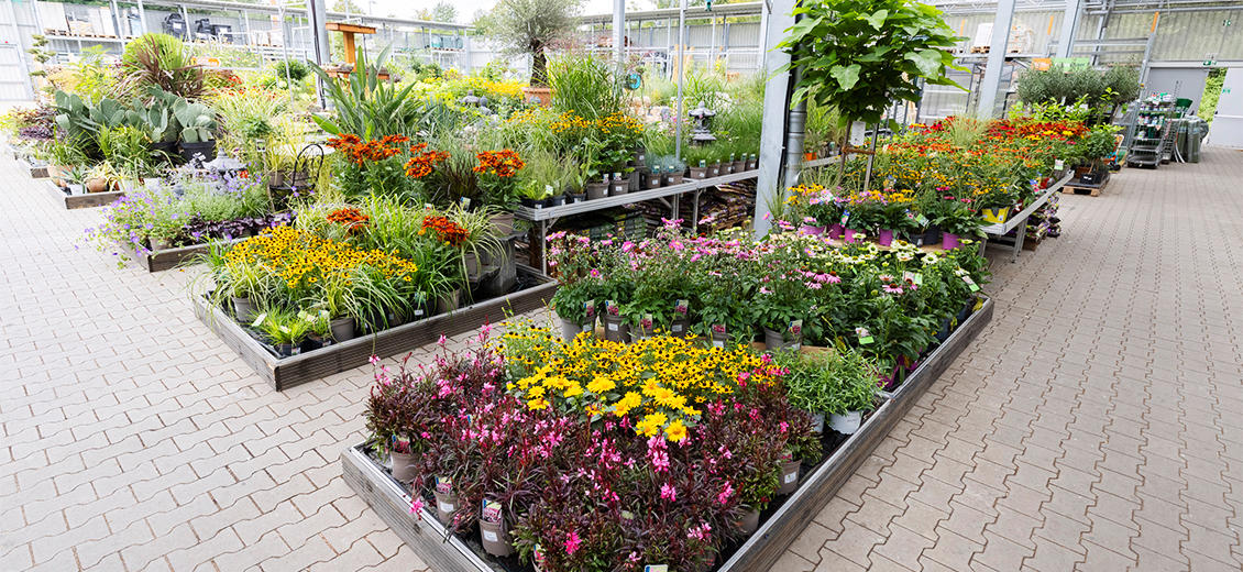 OBI Gartencenter Porta Westfalica