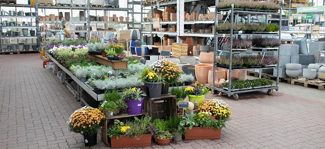 OBI Gartencenter Waren-Müritz