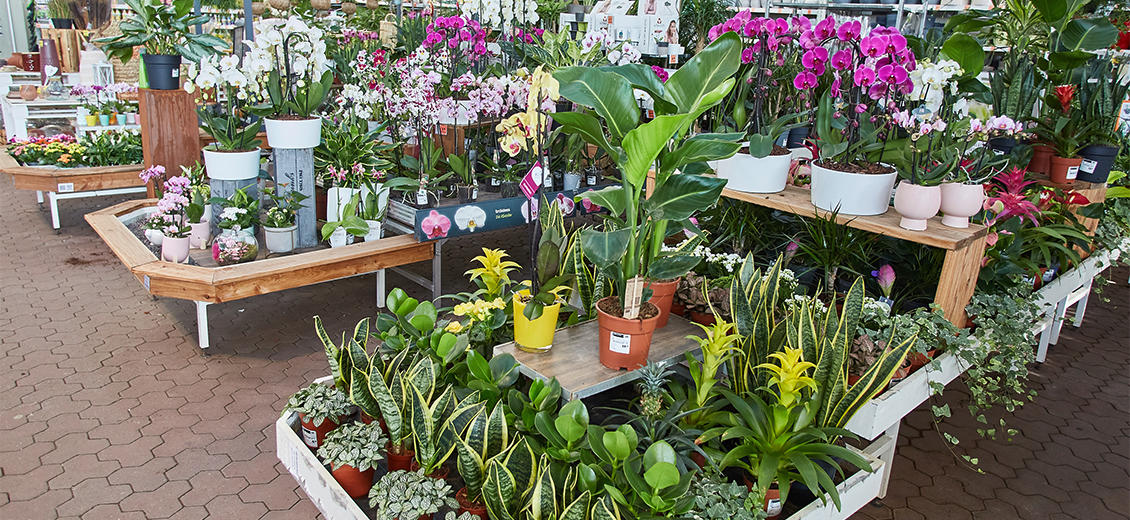 OBI Gartencenter Neuburg an der Donau