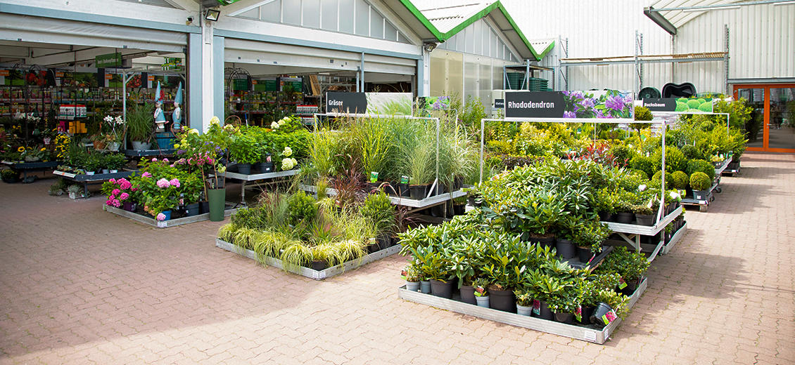 OBI Gartencenter Güstrow