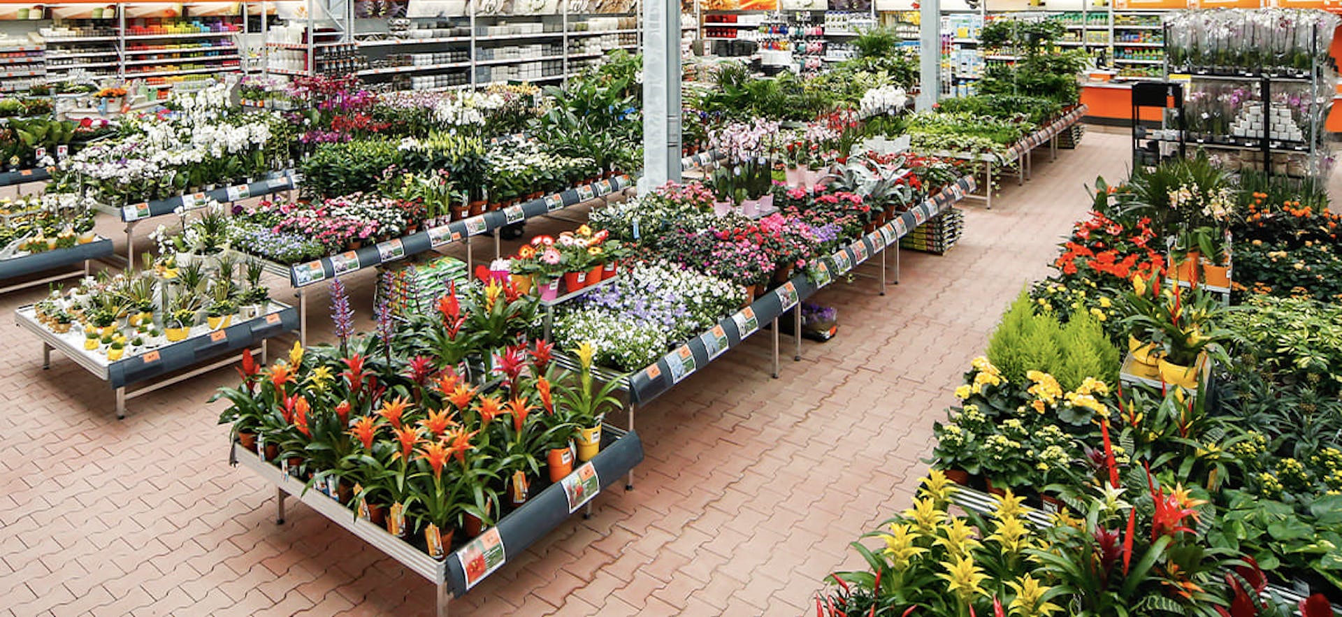 Hagebaumarkt & Gartencenter München Wasserburger Landstraße OBI Gartencenter Wien (21. Bez.) | alles für deinen Garten