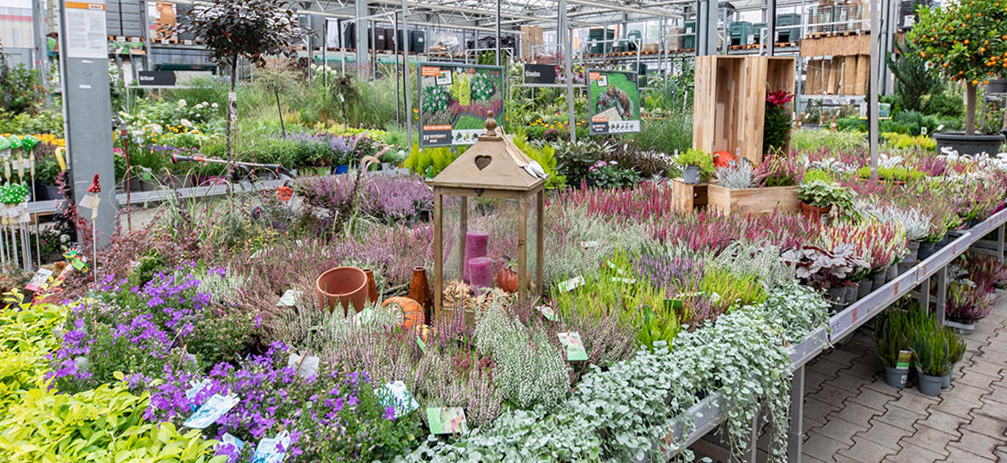 OBI Gartencenter Aachen Debyestraße