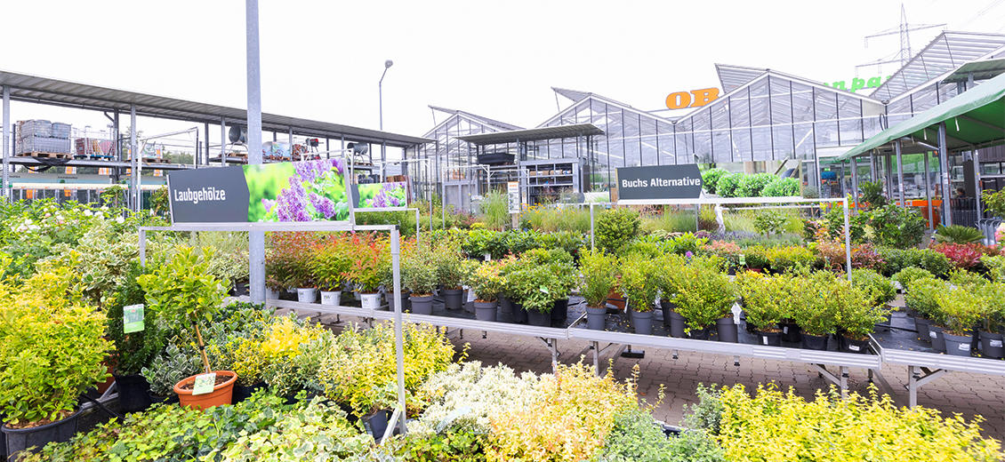 OBI Gartencenter Alfter