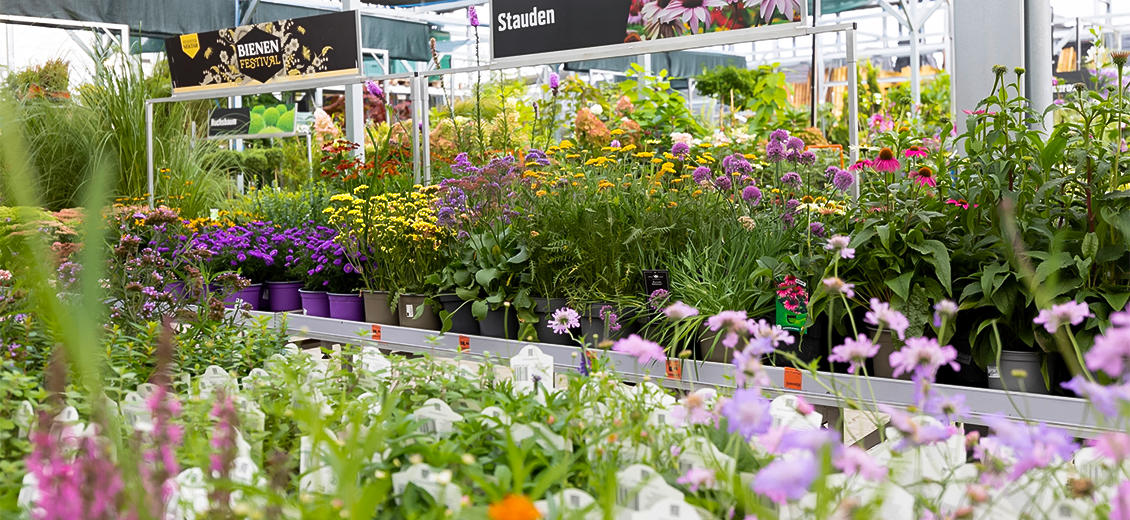 OBI Gartencenter Freiburg Süd