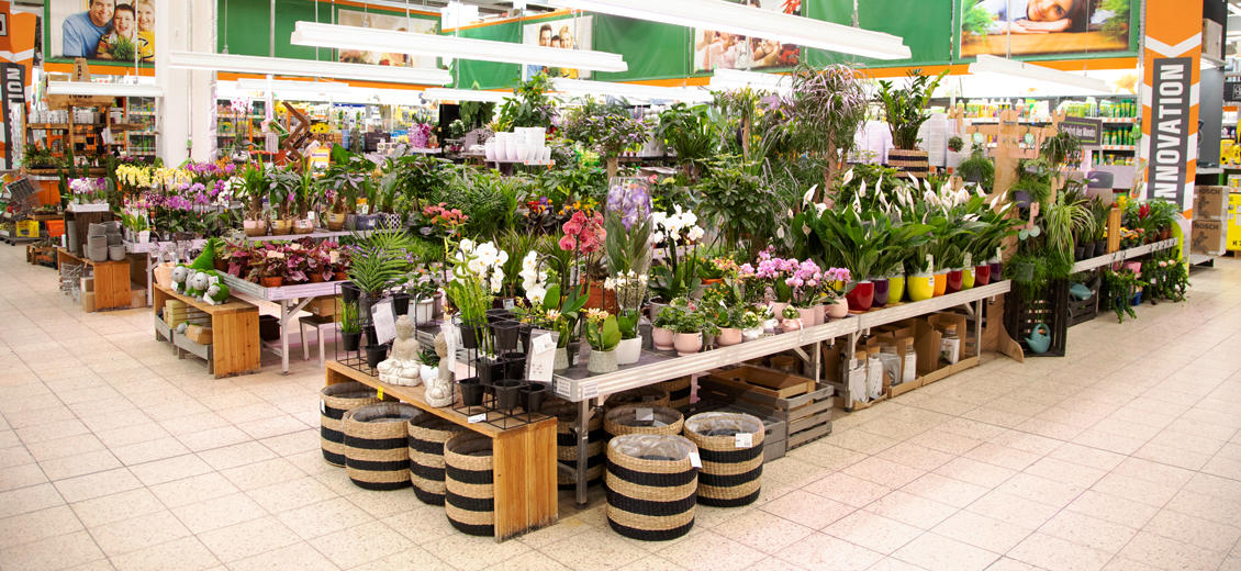 OBI Gartencenter Neubrandenburg Süd