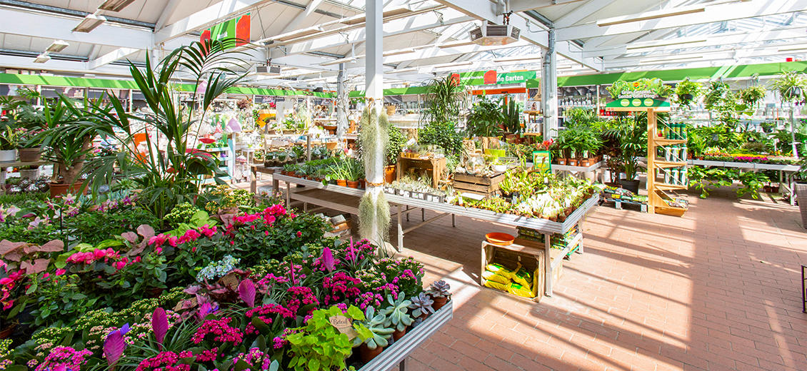OBI Gartencenter Nienburg