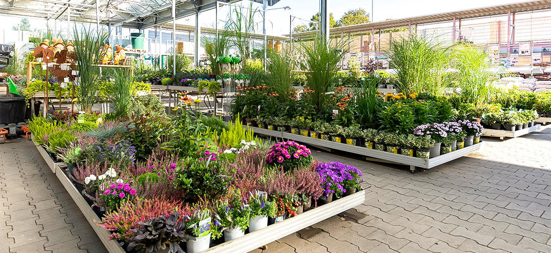 OBI Gartencenter Eschweiler