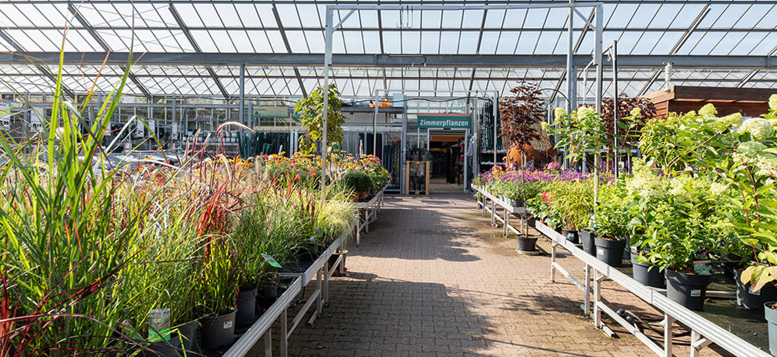 OBI Gartencenter Kempen