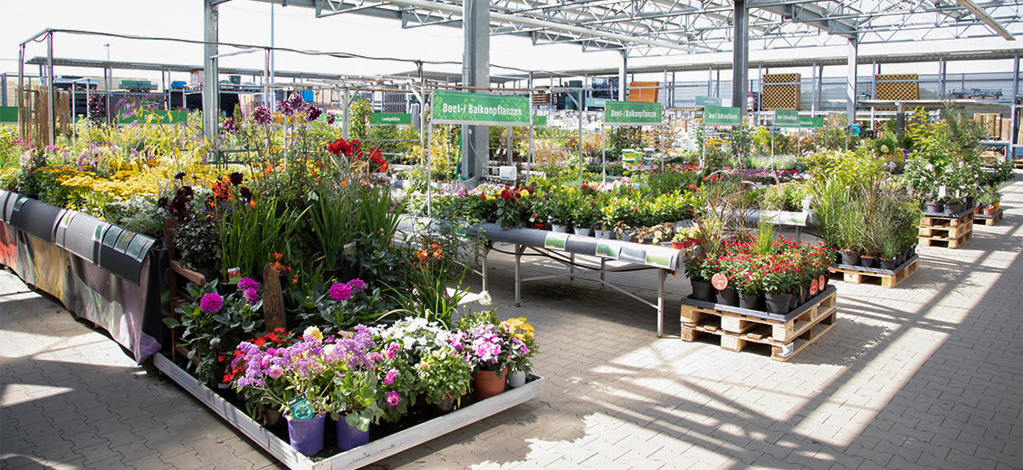 OBI Gartencenter Ebersbach