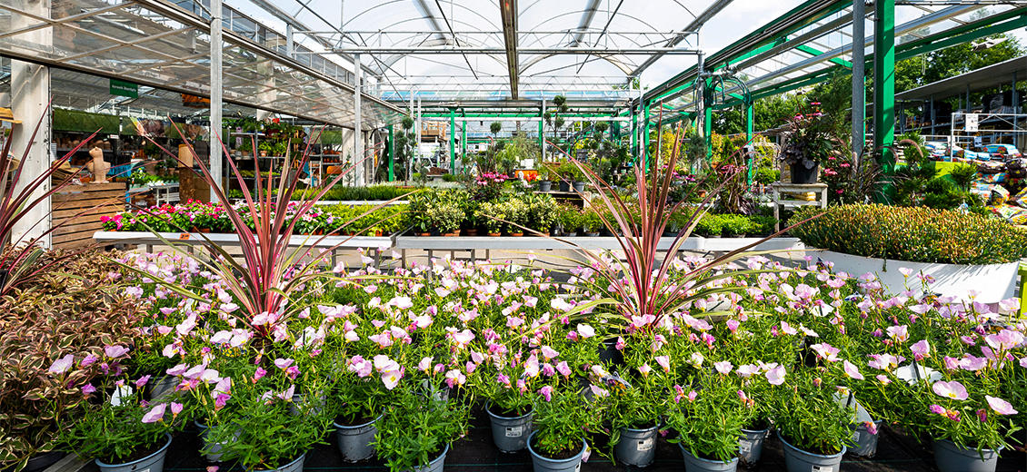 OBI Gartencenter Erlangen-West