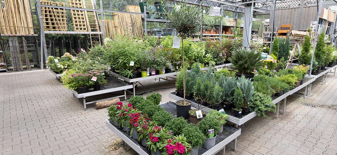 OBI Gartencenter Emmerich