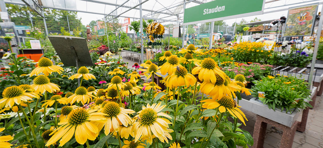 OBI Gartencenter Höchstadt an der Aisch