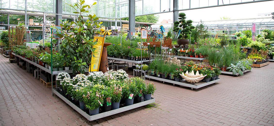 OBI Gartencenter Erfurt Nord