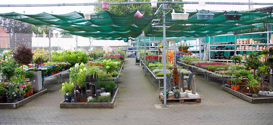 OBI Gartencenter Hagenow