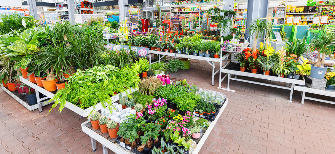 OBI Gartencenter Sinzig