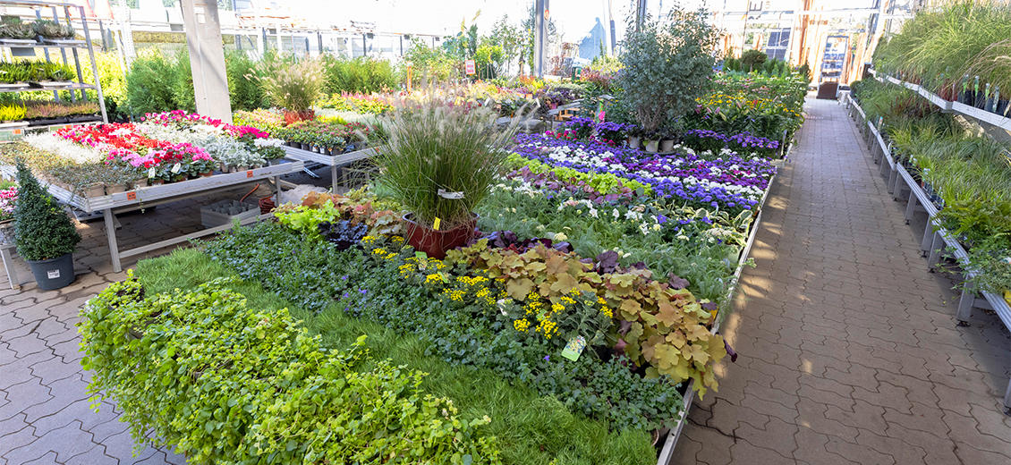 OBI Gartencenter Fohnsdorf