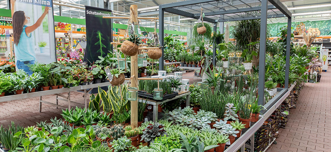 OBI Gartencenter Herzogenrath