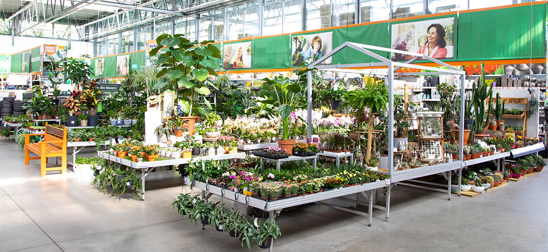 OBI Gartencenter Dresden Seidnitz