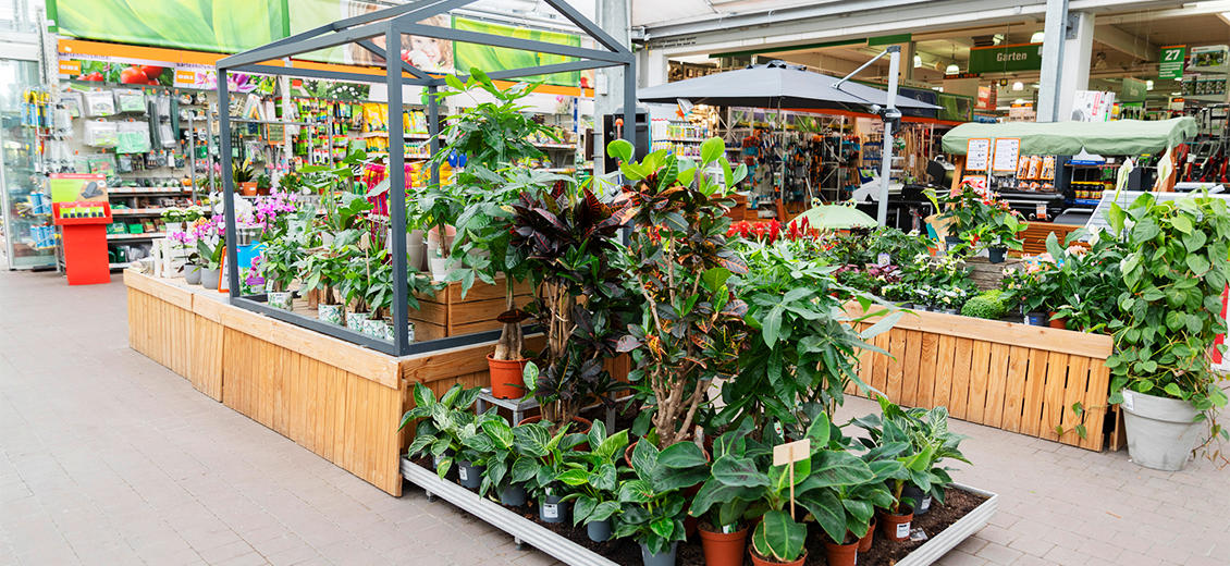 OBI Gartencenter Tauberbischofsheim