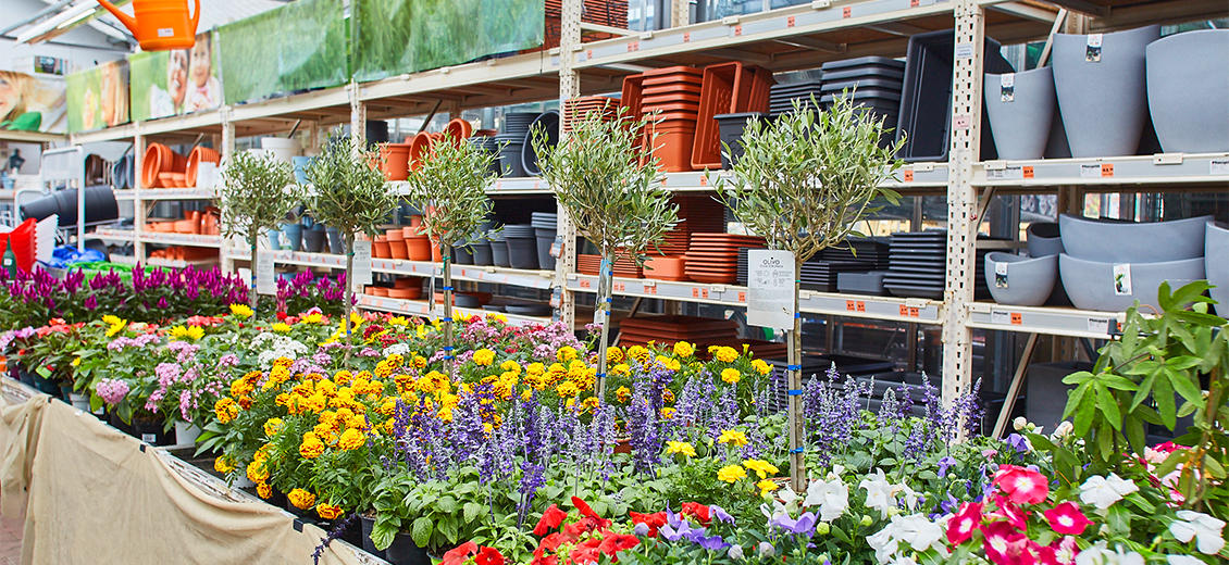 OBI Gartencenter Lindau