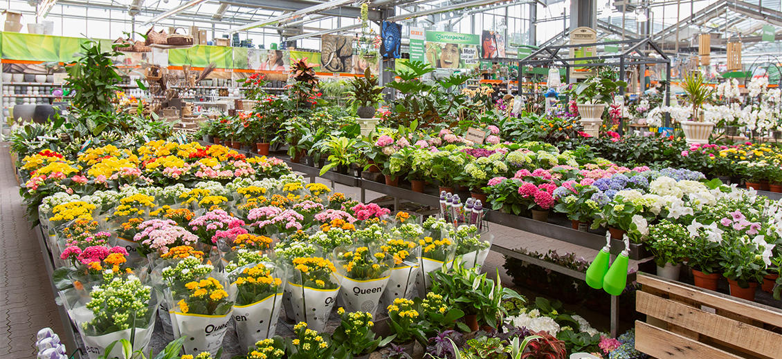 OBI Gartencenter Buchholz