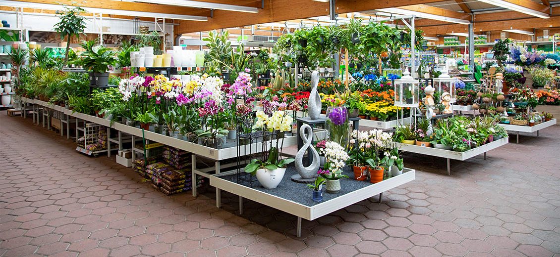 OBI Gartencenter Wittenberge