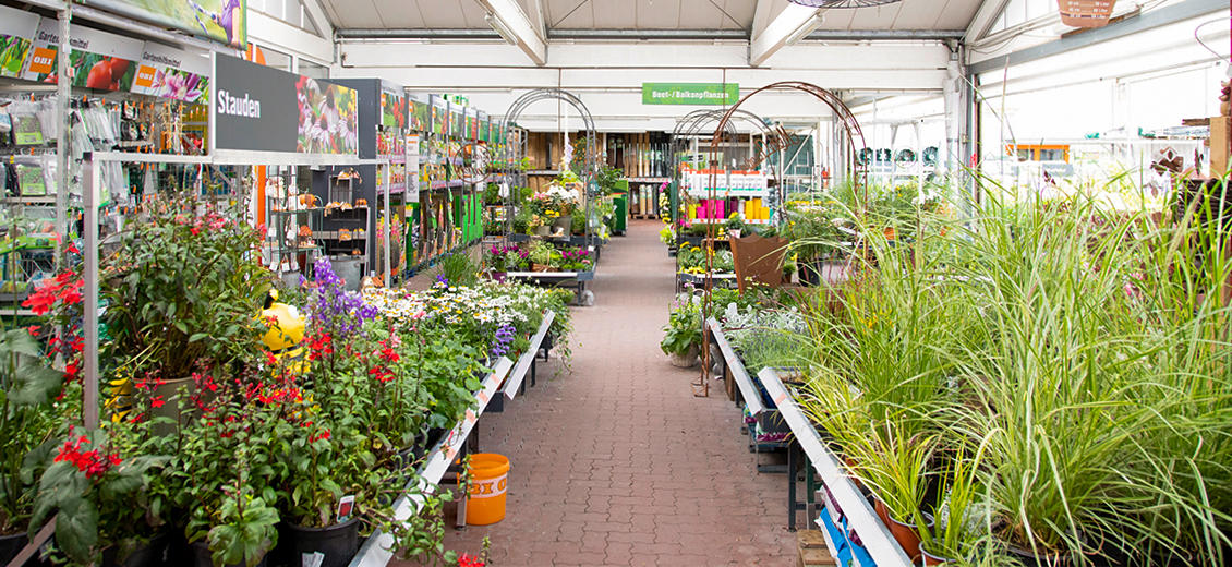 OBI Gartencenter Güstrow