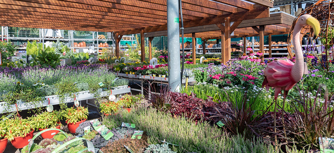 OBI Gartencenter Kempen