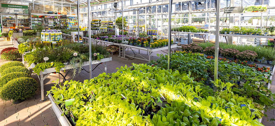 OBI Gartencenter Mayen