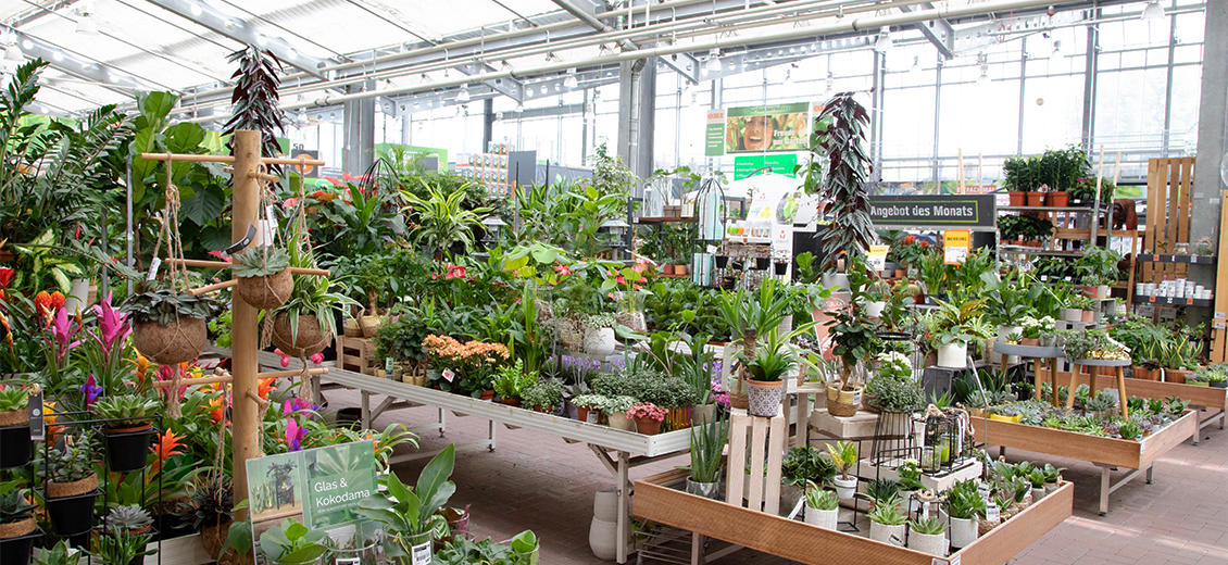 OBI Gartencenter Erfurt Süd