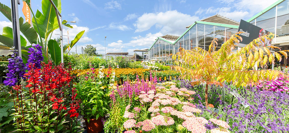 OBI Gartencenter Köln-Mülheim