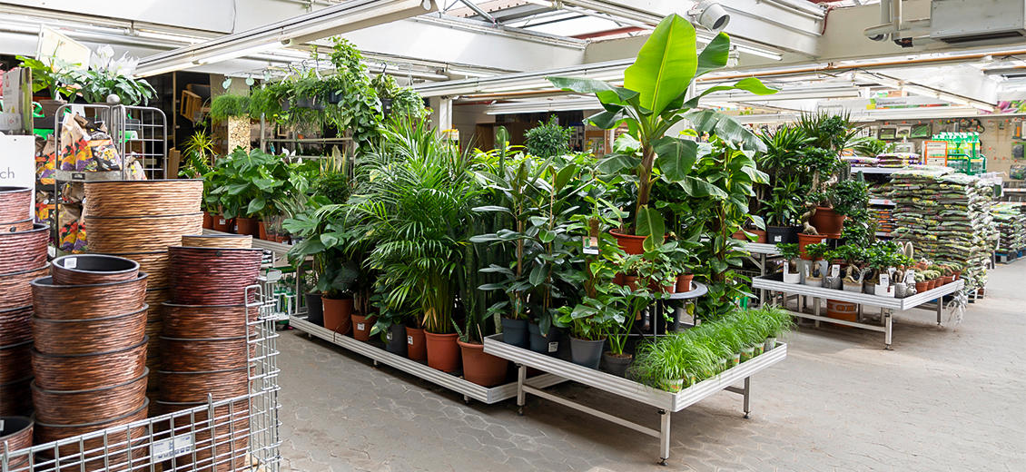 OBI Gartencenter Frankfurt-Sachsenhausen