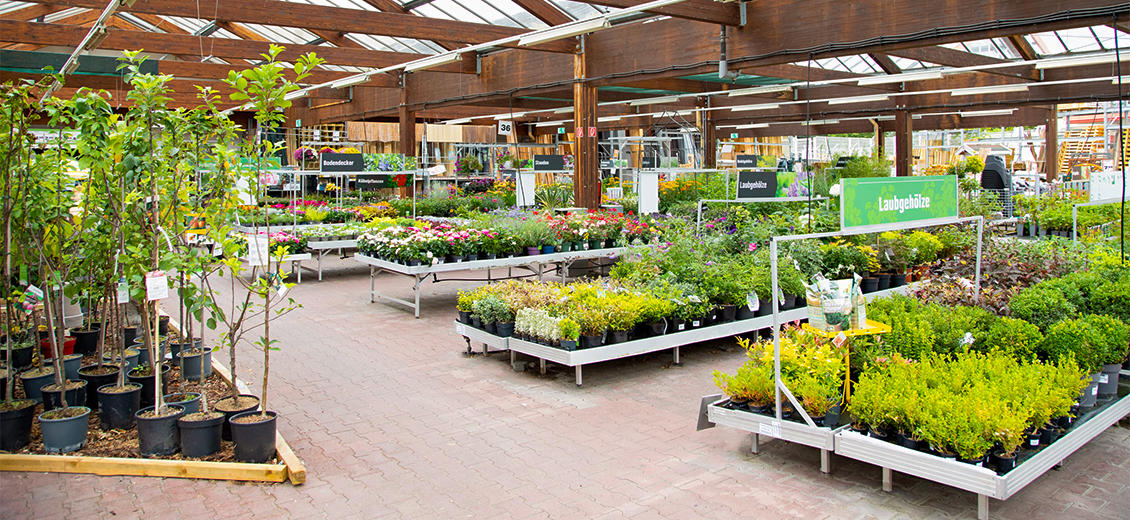 OBI Gartencenter Forst