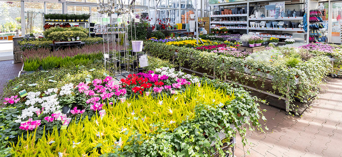 OBI Gartencenter Lüdenscheid