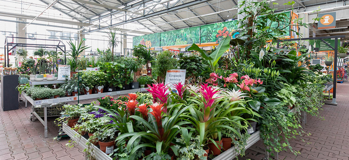 OBI Gartencenter Bonn-Nord