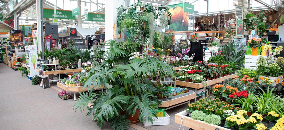 OBI Gartencenter Grimma