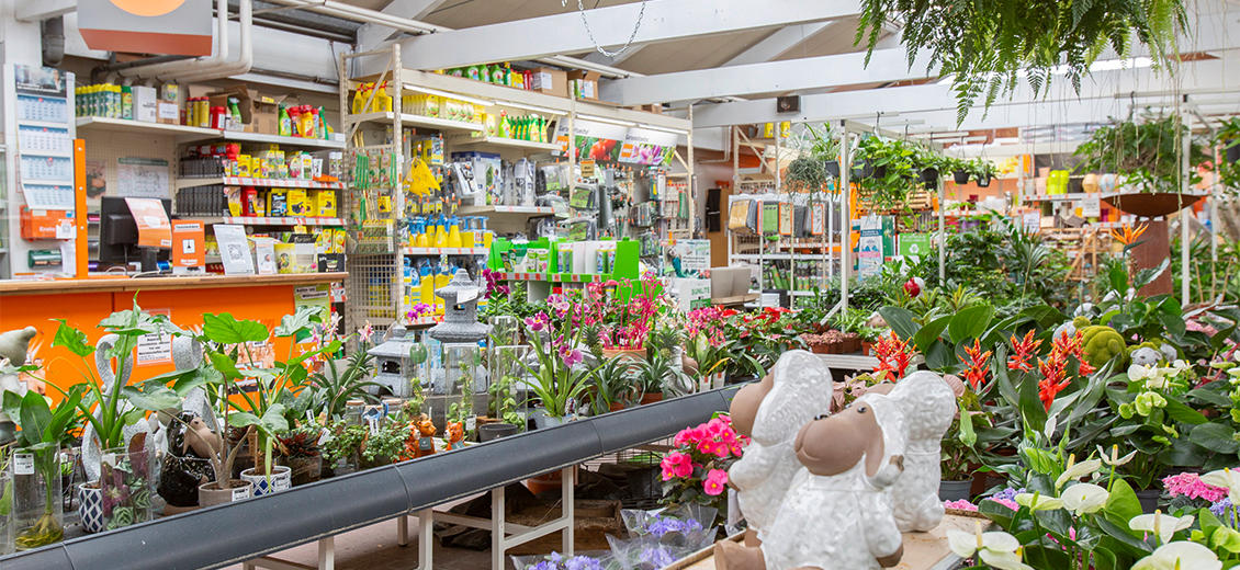 OBI Gartencenter Wunstorf