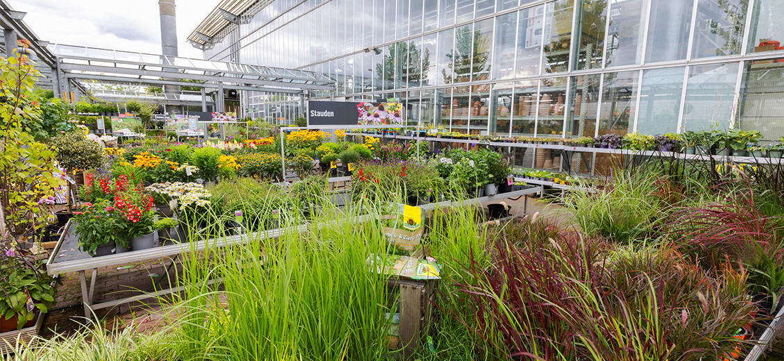 OBI Gartencenter Gießen-Süd