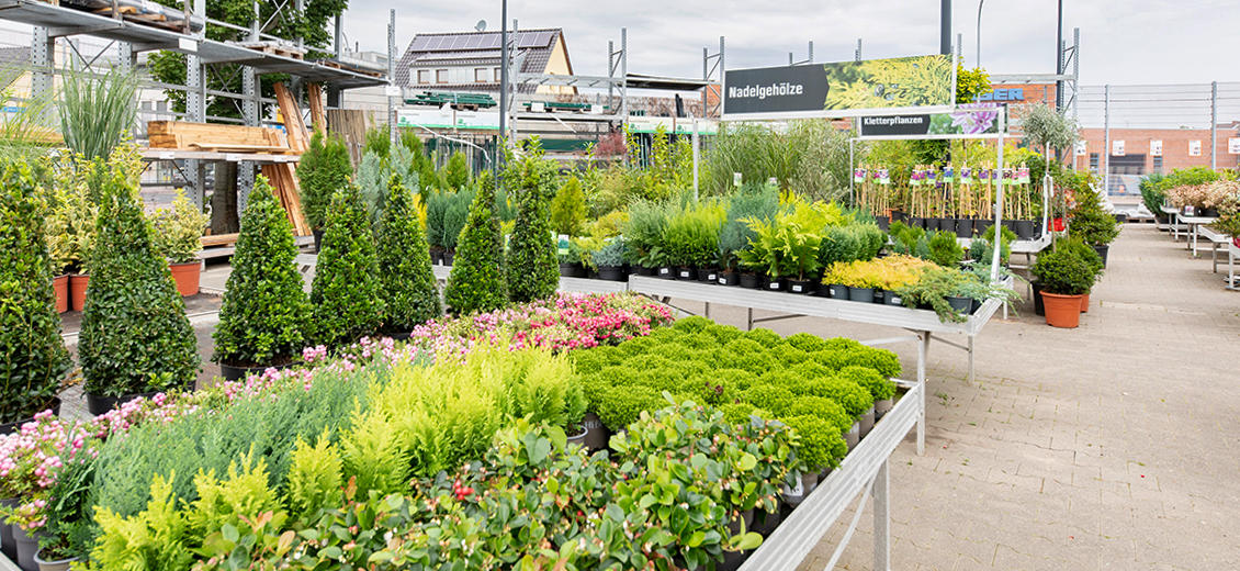 OBI Gartencenter Euskirchen