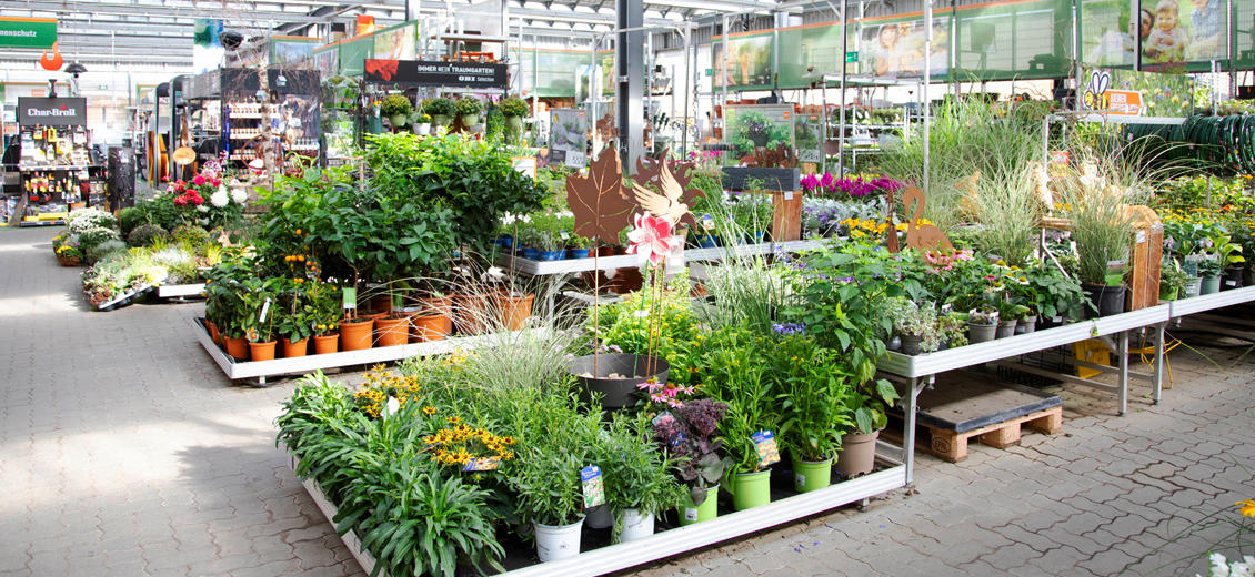 OBI Gartencenter Neubrandenburg Süd