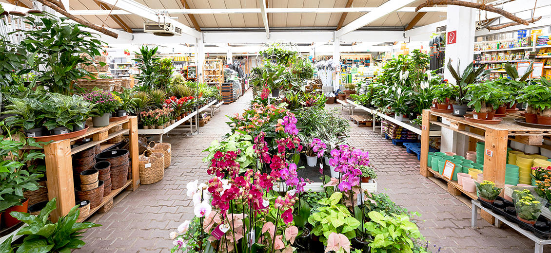 OBI Gartencenter Neustadt-Aisch