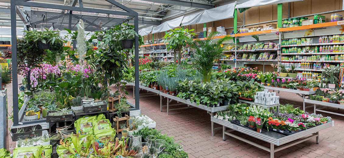 OBI Gartencenter Düren