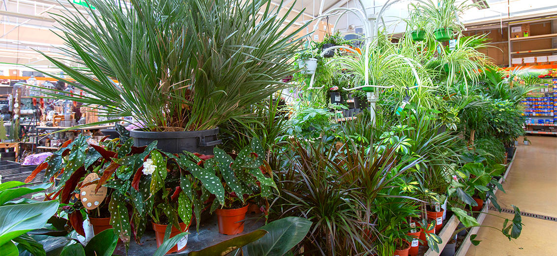 OBI Gartencenter Göttingen