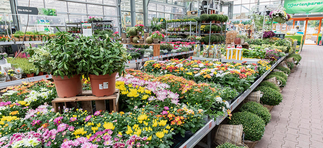 OBI Gartencenter Aachen Debyestraße