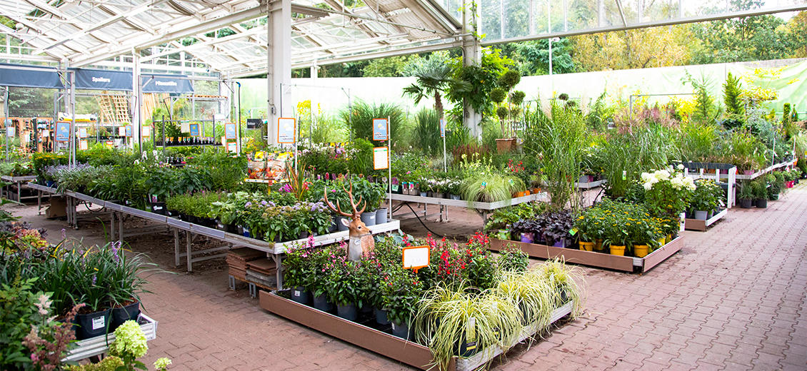 OBI Gartencenter Leipzig-Probstheida