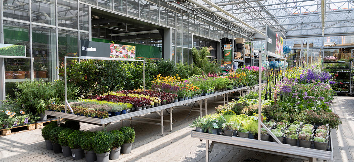 OBI Gartencenter Heidelberg