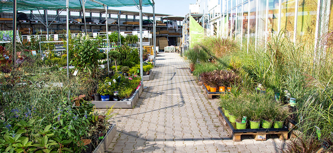 OBI Gartencenter Torgau