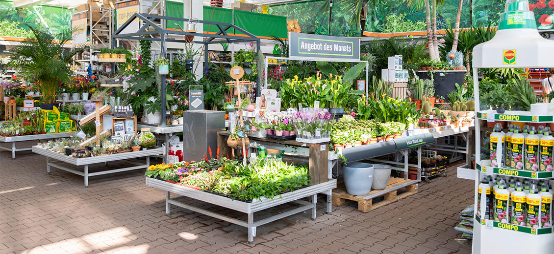 OBI Gartencenter Idstein