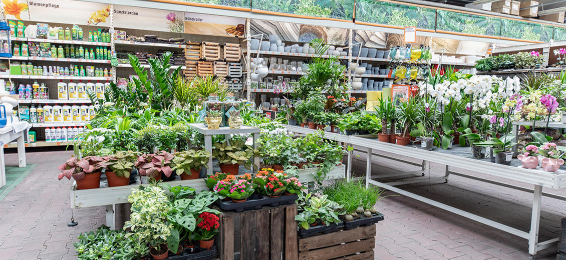 OBI Gartencenter Nettetal-Kaldenkirchen
