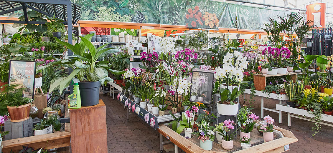 OBI Gartencenter Neuburg an der Donau